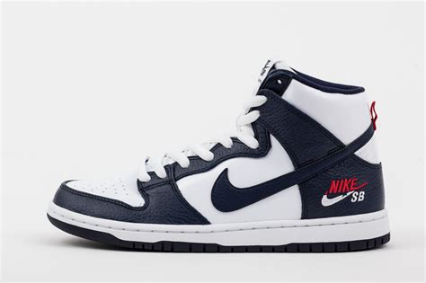 nike zoom dunk high pro.